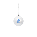 Silver ornament with blue geeky "Mensa" logo