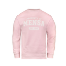 Pink sweatshirt with 'Property of Mensa' text on a white background