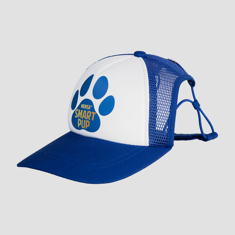 Blue pup hat with white front with image of a blue paw print with gold text "MENSA SMART PUP"