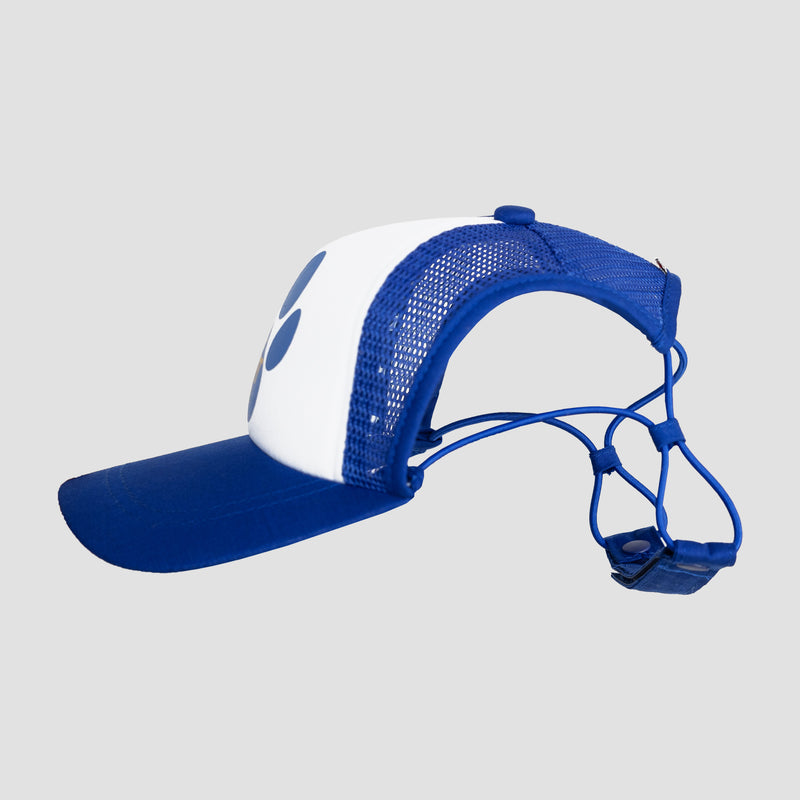 side view of blue and white dog hat 