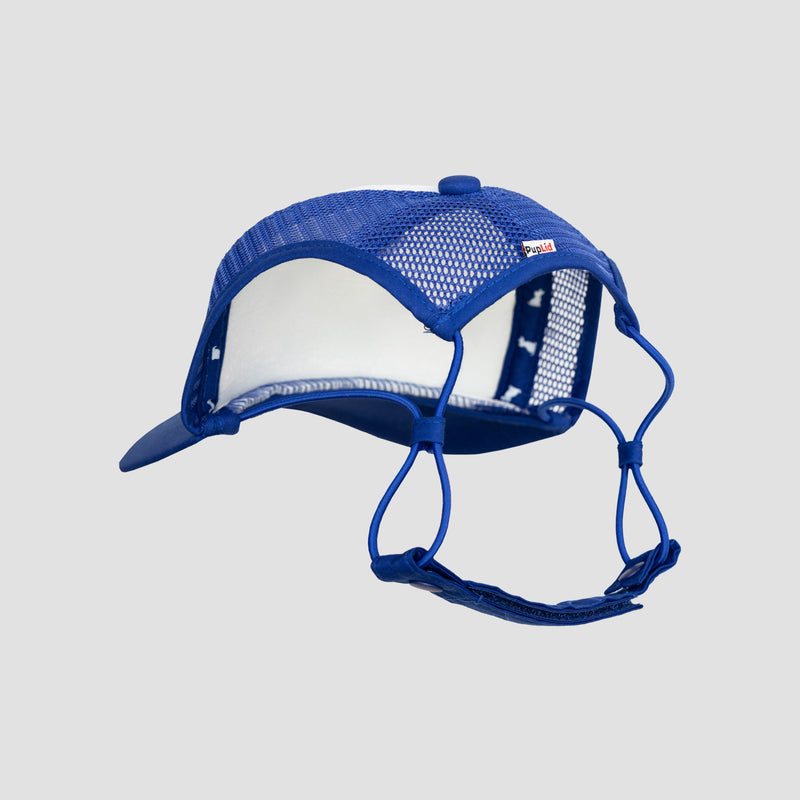 rear view of blue and white dog hat showing rear blue strap