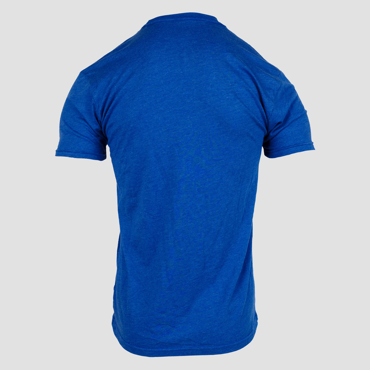 Mensa Collegiate Tee – Royal